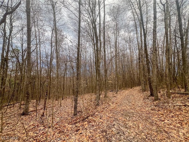 Hutt Rd, Ray, OH 45672 - photo 2