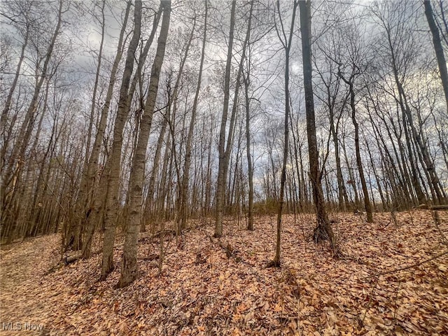 Hutt Rd, Ray, OH 45672 - photo 3