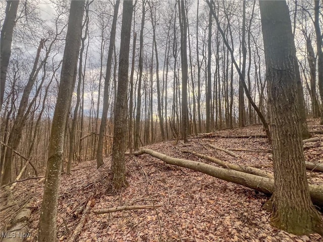 Hutt Rd, Ray, OH 45672 - photo 8