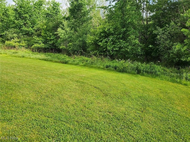 2824 Benford Ln, Youngstown, OH 44505 - photo 4