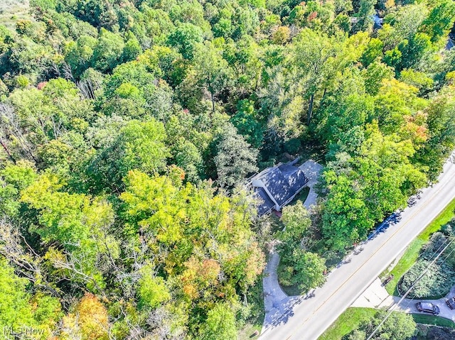6423 Auburn Rd, Concord, OH 44077 - photo 47
