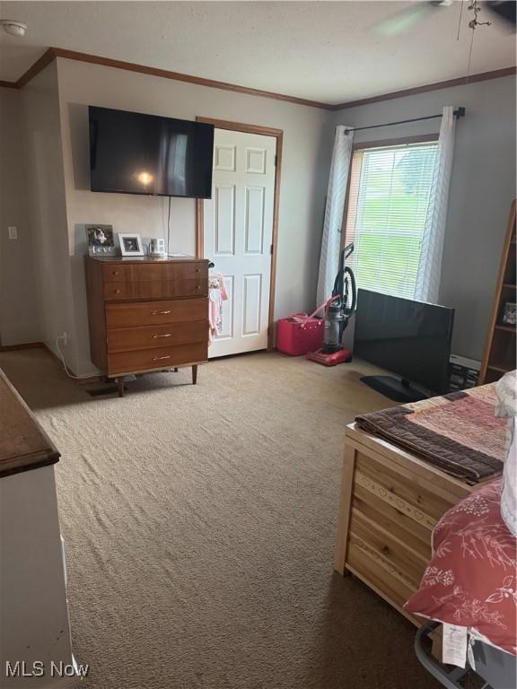 4150 Watertown Rd, Waterford, OH 45786 - photo 11