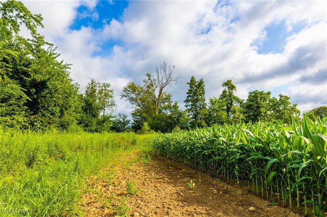 13841 Hametown Rd, Doylestown, OH 44230 - photo 27