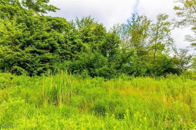 13841 Hametown Rd, Doylestown, OH 44230 - photo 28