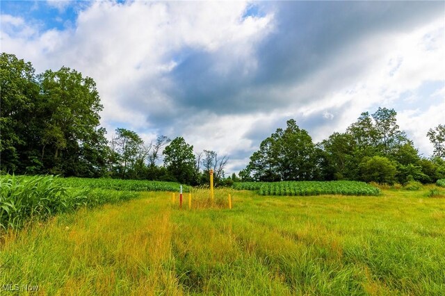 13841 Hametown Rd, Doylestown, OH 44230 - photo 22