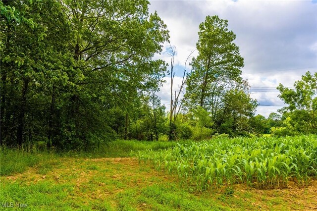 13841 Hametown Rd, Doylestown, OH 44230 - photo 24