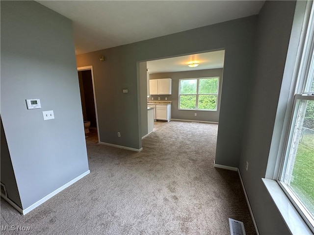 1001 Scott Ave, Ashtabula, OH 44004 - photo 7