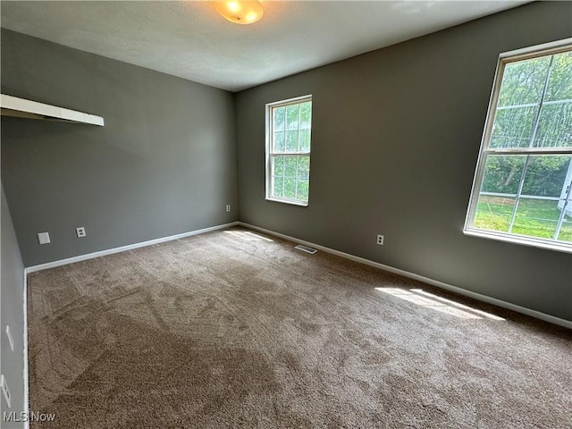 1001 Scott Ave, Ashtabula, OH 44004 - photo 12