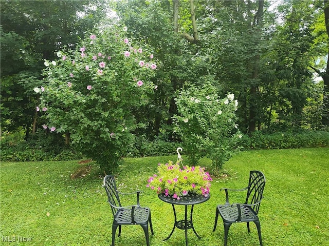 4510 S Ridge Rd E, Geneva, OH 44041 - photo 9
