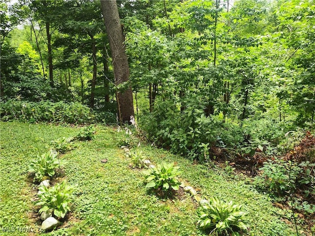 4510 S Ridge Rd E, Geneva, OH 44041 - photo 11