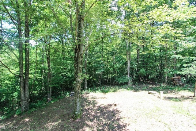 40721 Township Road 467, Woodsfield, OH 43946 - photo 34