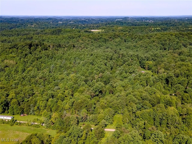 40721 Township Road 467, Woodsfield, OH 43946 - photo 45