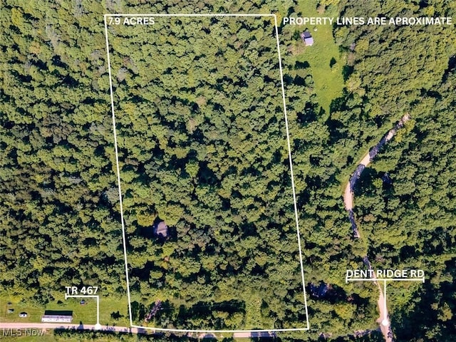 40721 Township Road 467, Woodsfield, OH 43946 - photo 47