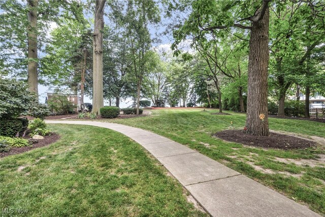 25801 Lakeshore Blvd Unit 103, Euclid, OH 44132 - photo 40