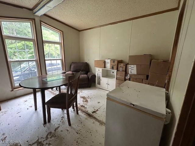 10159 Webb Rd, Logan, OH 43138 - photo 7