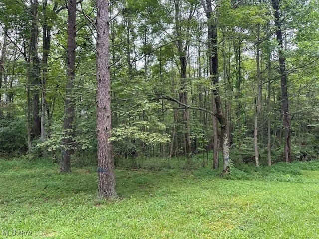 10159 Webb Rd, Logan, OH 43138 - photo 8
