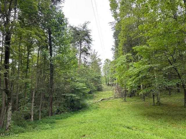 10159 Webb Rd, Logan, OH 43138 - photo 9