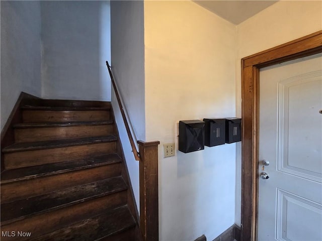 3814 Southern Blvd, Youngstown, OH 44507 - photo 2