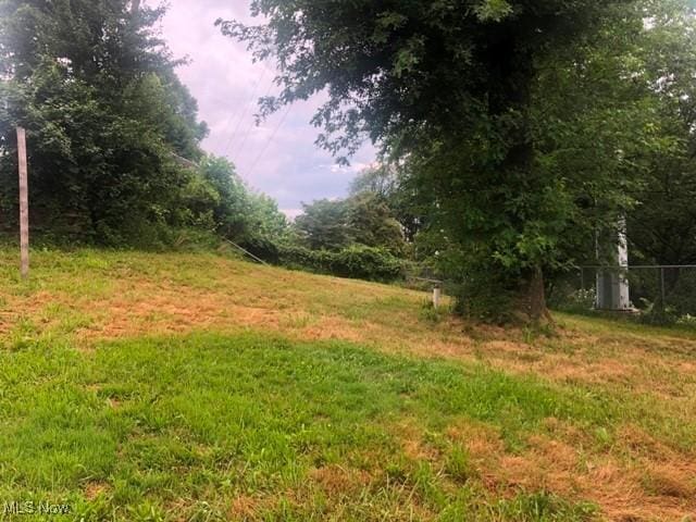 41 Ridge Ave, Wheeling, WV 26003 - photo 26
