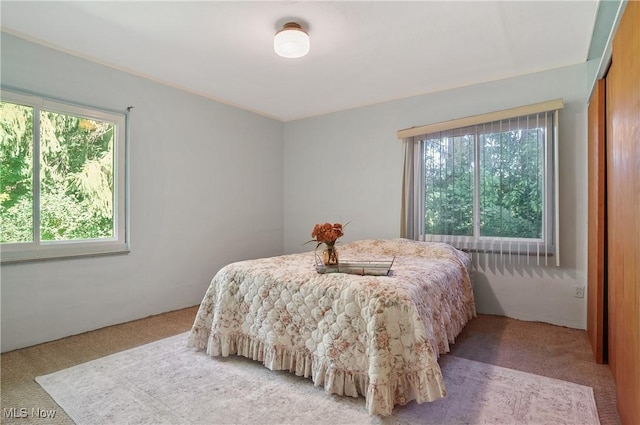 665 Youngstown Kingsville Rd SE, Vienna, OH 44473 - photo 20
