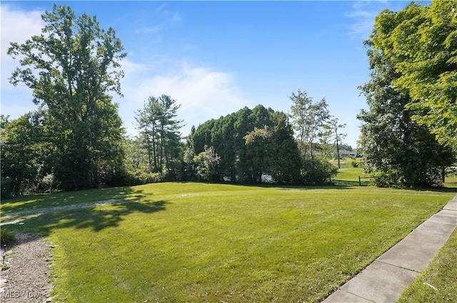 665 Youngstown Kingsville Rd SE, Vienna, OH 44473 - photo 29