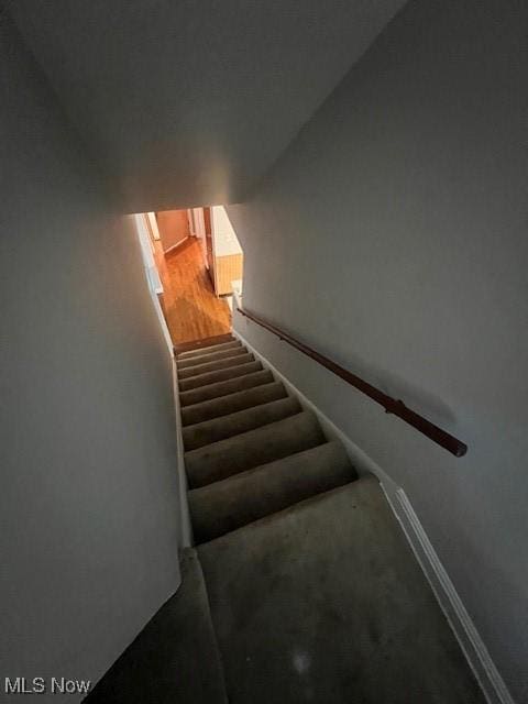 3905 Jo Ann Dr, Cleveland, OH 44128 - photo 23