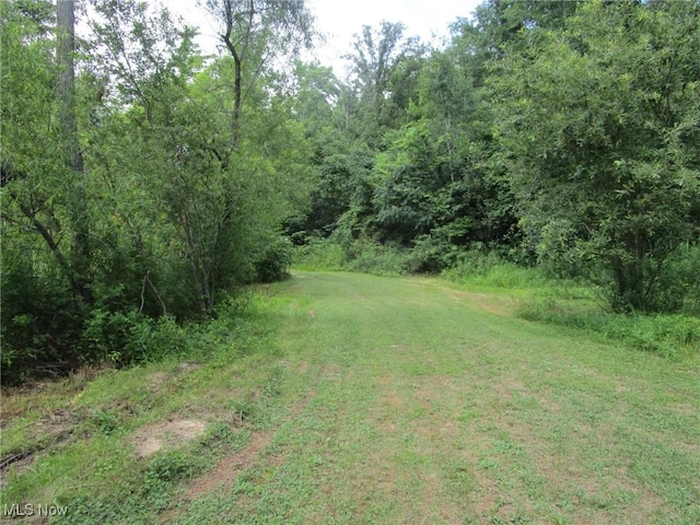 4293 Bulah Rd, Jefferson, OH 44047 - photo 41