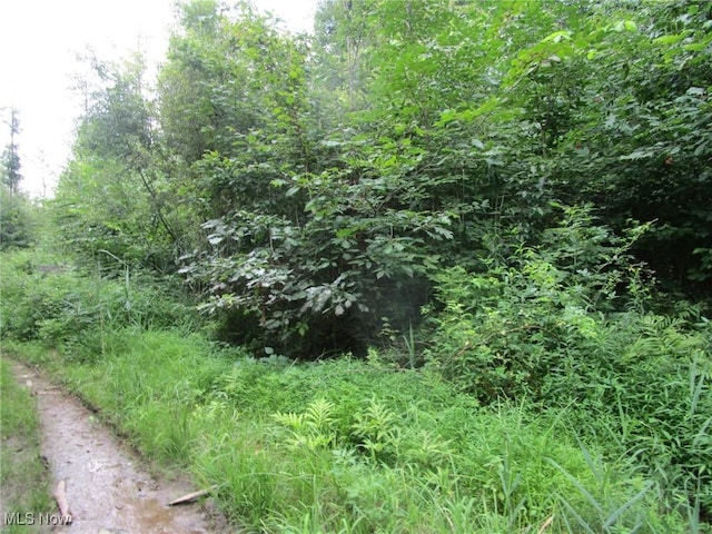 4293 Bulah Rd, Jefferson, OH 44047 - photo 44