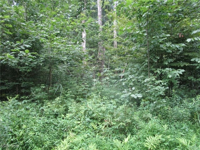 4293 Bulah Rd, Jefferson, OH 44047 - photo 45