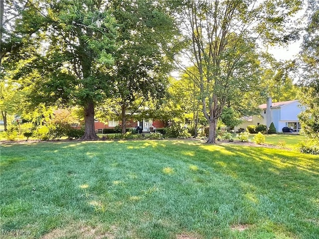 1166 Sherman St, Geneva, OH 44041 - photo 37