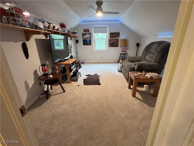 1166 Sherman St, Geneva, OH 44041 - photo 28