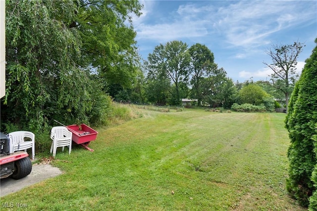 1924 Caroline Ave, Norton, OH 44203 - photo 20