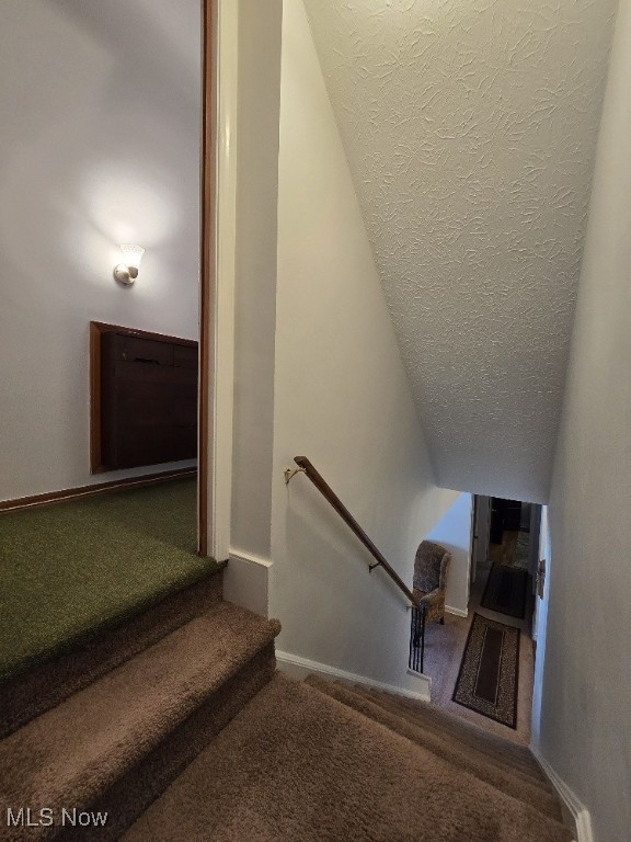 4482 Shirley Rd, South Euclid, OH 44121 - photo 26