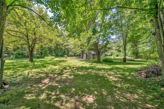 10982 Root Rd, Columbia Station, OH 44028 - photo 40