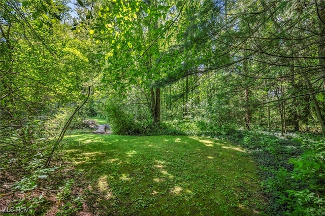 10982 Root Rd, Columbia Station, OH 44028 - photo 44