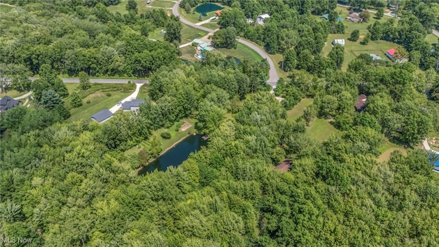 10982 Root Rd, Columbia Station, OH 44028 - photo 47
