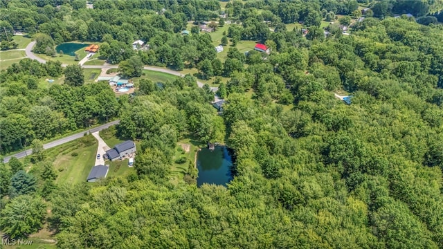 10982 Root Rd, Columbia Station, OH 44028 - photo 48