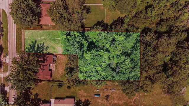 Root Rd, Lorain, OH 44052 - photo 2