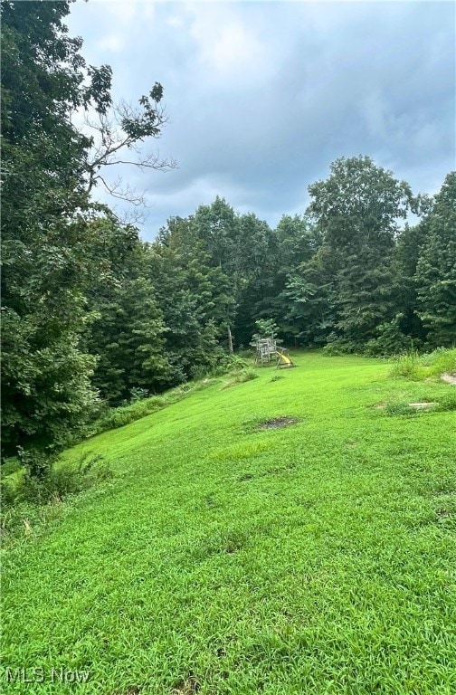 334 Carriage Ln, Saint Marys, WV 26170 - photo 12