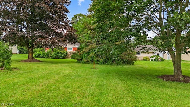 3781 State Route 4, Bucyrus, OH 44820 - photo 25