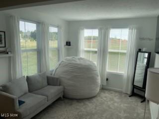 805 Dipper Ln Unit 2, Aurora, OH 44202 - photo 12
