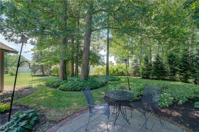 32833 Fallhaven Cir N, Ridgeville, OH 44039 - photo 42