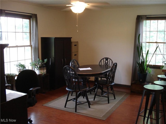 604 Heritage Sq, Jefferson, OH 44047 - photo 5