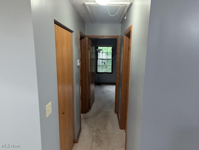 1133 Red Tail Hawk Ct Unit 6, Boardman, OH 44512 - photo 11