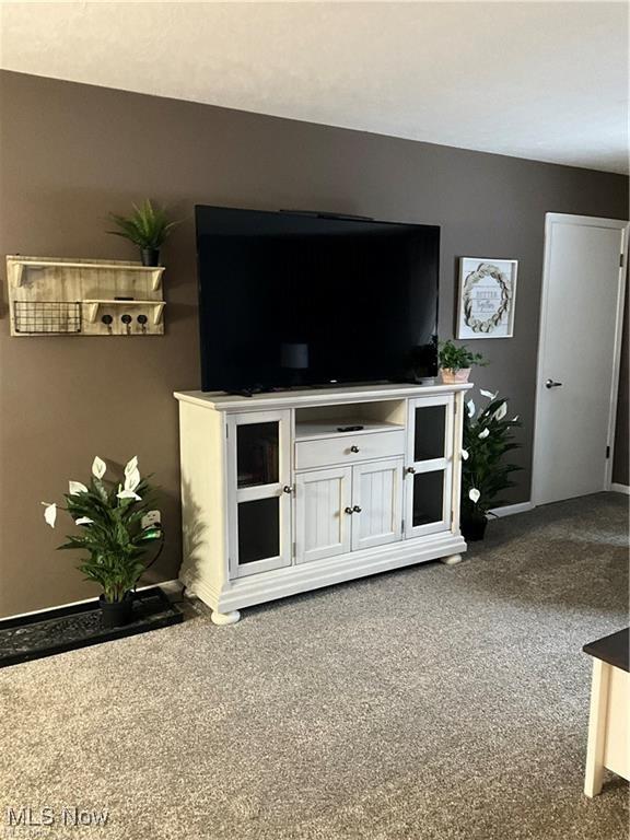 3895 Indian Run Dr Unit 8, Canfield, OH 44406 - photo 11