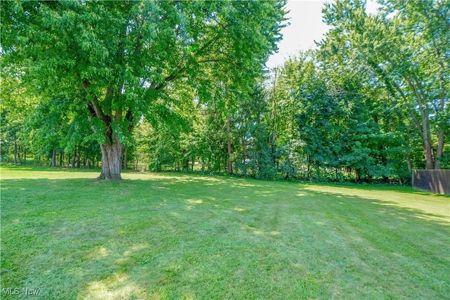 5888 Longview St SW, Massillon, OH 44646 - photo 38