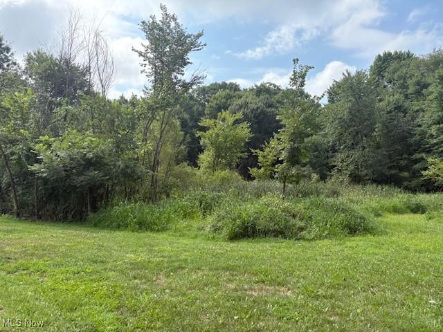 2268 Swartz Rd, Mogadore, OH 44260 - photo 5