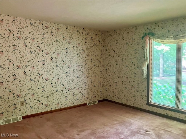 130 Topaz Trl, Cortland, OH 44410 - photo 11