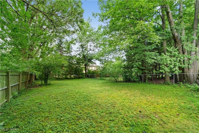 1386 Argonne Rd, South Euclid, OH 44121 - photo 36