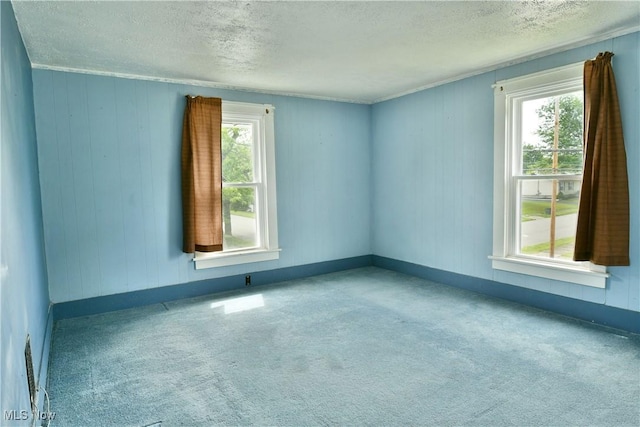 304 Cherry Ave, Niles, OH 44446 - photo 28